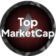Avalanche Top Market Cap